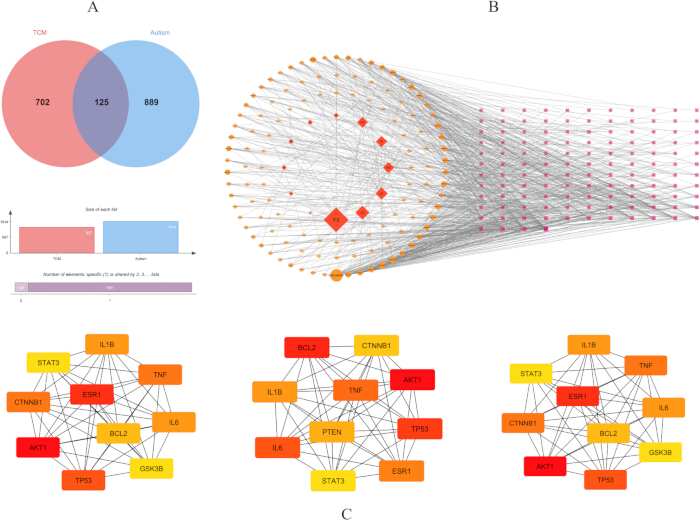 figure-results-1 Data visualization in a Venn diagram, network topology, and gene interaction charts for autism studies.