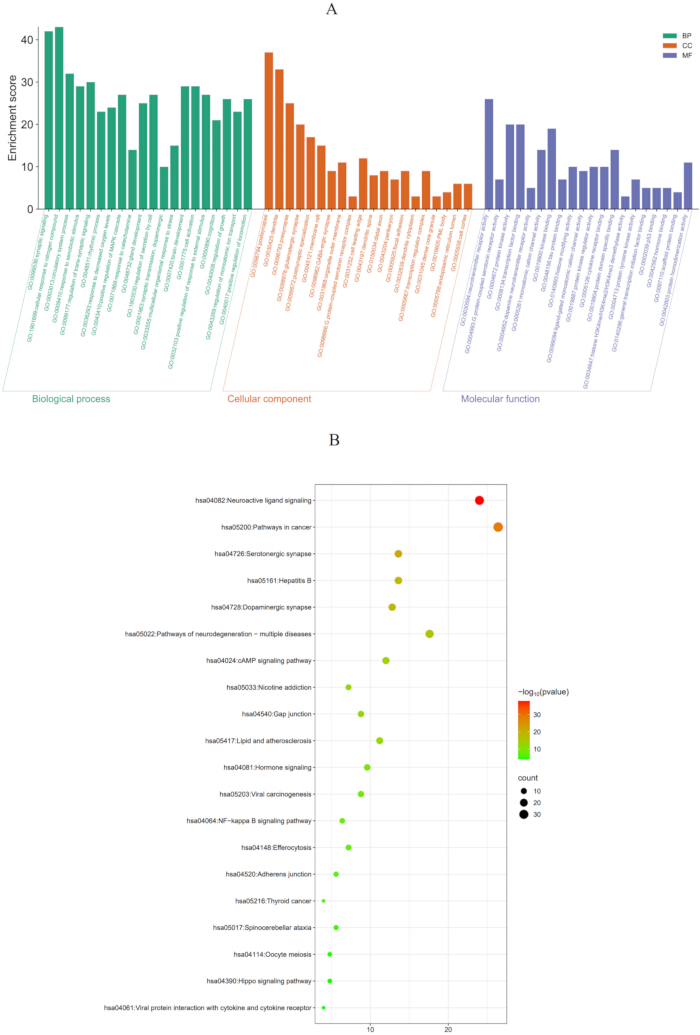 figure-results-3 Gene ontology bar chart, KEGG bubble plot; enrichment scores, pathway analysis results.