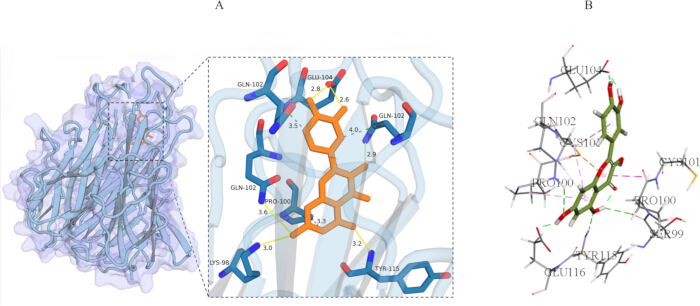 figure-results-5 Protein crystallography diagram with molecular interactions, showing ligand binding and atomic distances.