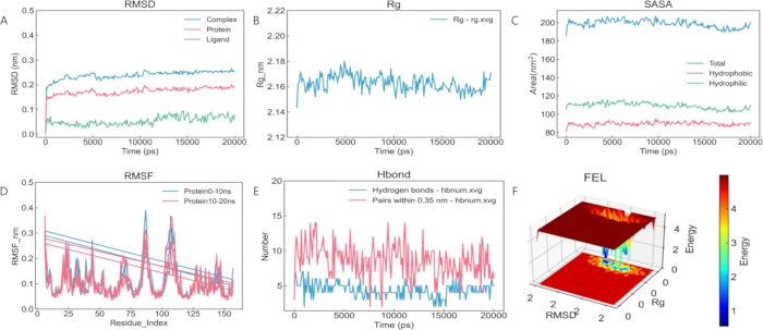figure-results-6 Protein dynamics analysis with RMSD, Rg, SASA, RMSF, Hbond graphs, and FEL diagram; molecular simulation.