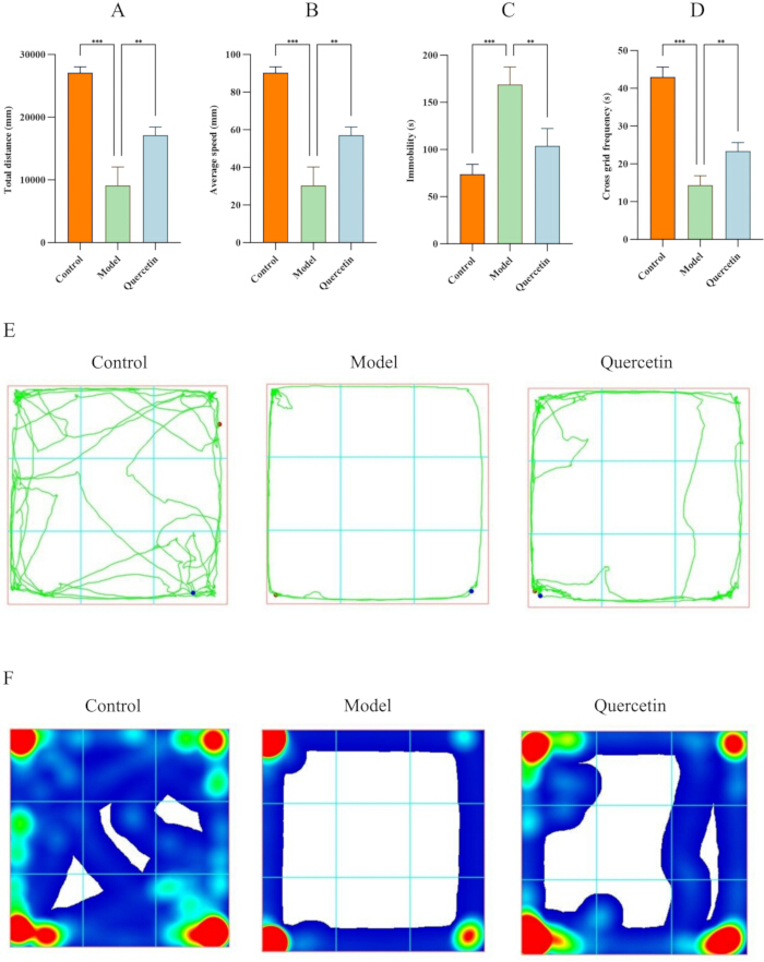 figure-results-8 Bar charts comparing control, model, quercetin groups; movement paths and heat maps in research analysis.