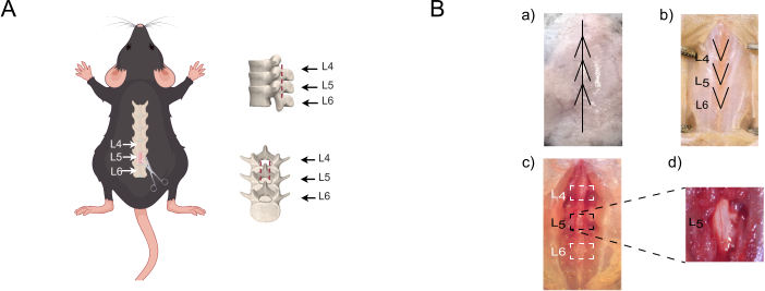 figure-results-1