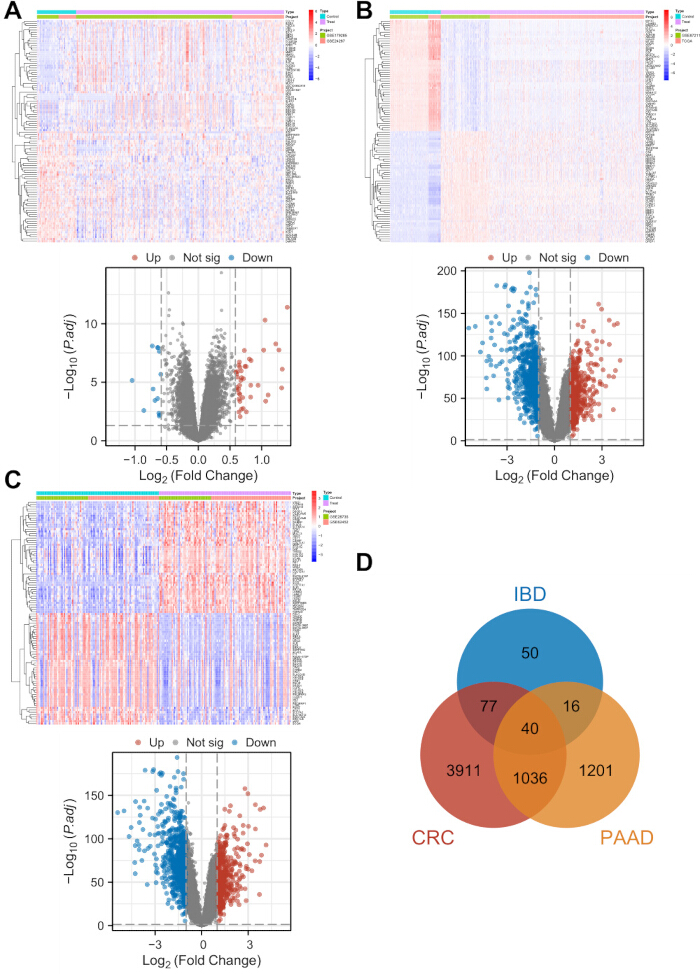 figure-results-2 Gene expression heatmaps, volcano plots, and Venn diagram for differential analysis in RNA sequencing.