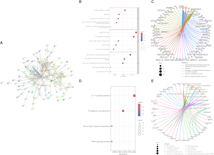 figure-results-4 Network analysis, gene interaction chart. Includes nodes connected by pathways, data visualizations.