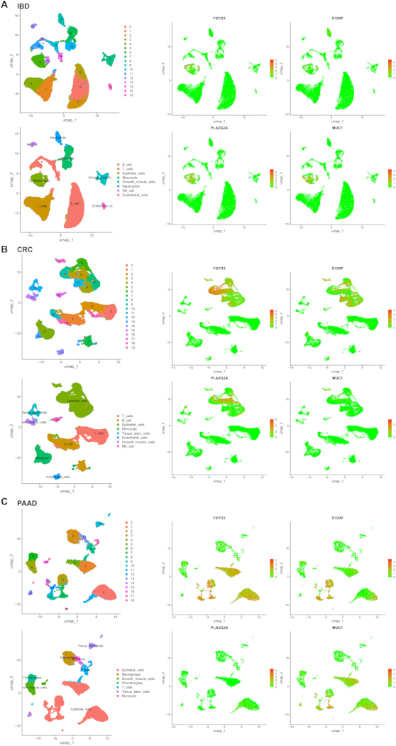 figure-results-7 UMAP plots showing cell type clustering; panels A, B, C illustrate IBD, CRC, PAAD gene expression.