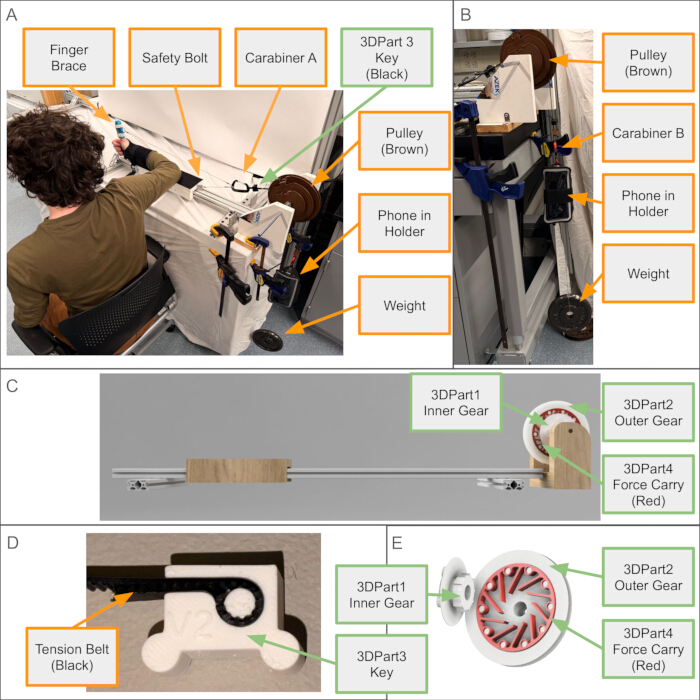 Static equilibrium diagram with labeled components; features pulley, carabiners, forces, gears, setup.