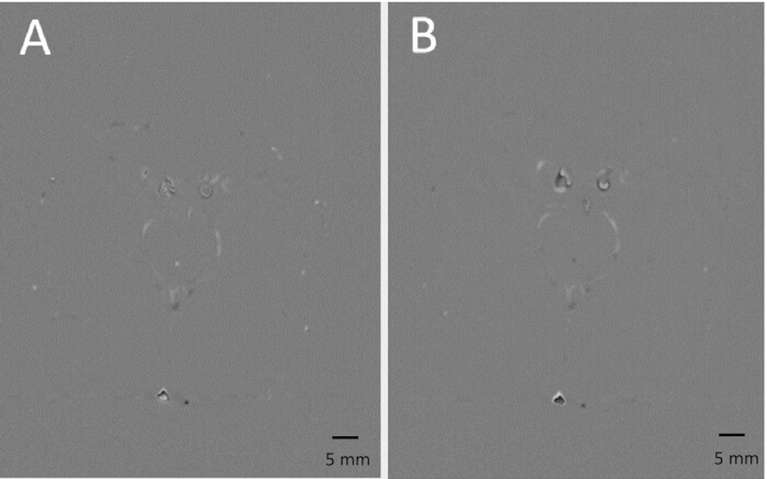 Optical microscope images A and B of specimen, 5 mm scale, for comparative material analysis.