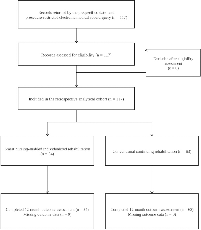 Flowchart diagram of retrospective cohort study process: medical records query, assessment, rehabilitation.