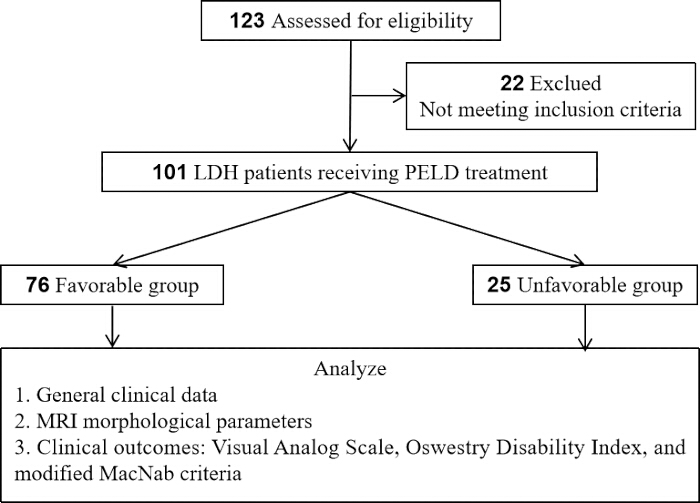 figure-protocol-1 Flowchart illustrating patient assessment and outcomes post-PELD treatment: eligibility, group analysis.