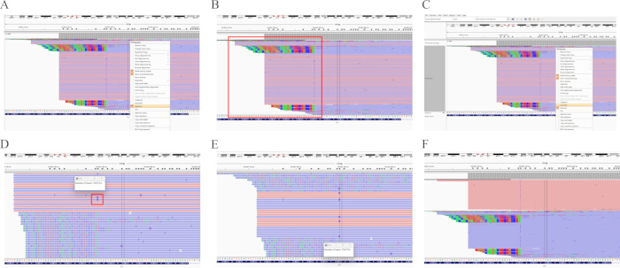 figure-results-3