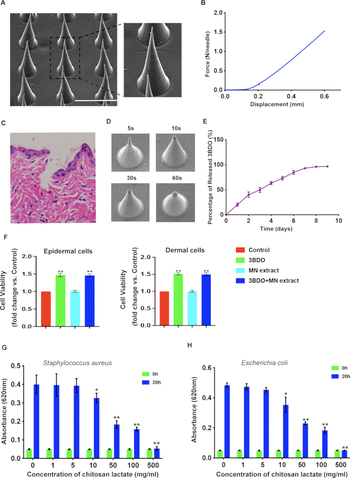 figure-results-2 Microneedle array diagrams and cell viability graphs; study on antibacterial properties of chitosan lactate.