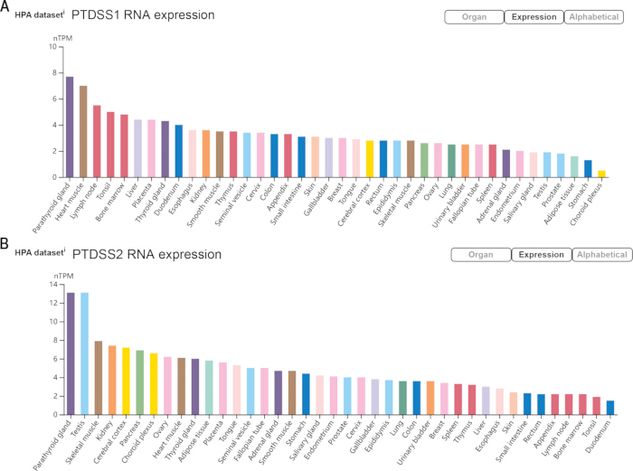PTDSS1 and PTDSS2 RNA expression bar charts comparing tissue nTPM levels, HPA dataset analysis.