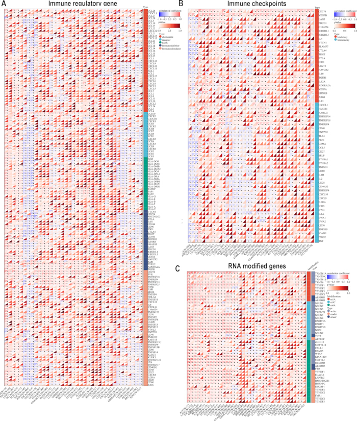 Heatmaps of immune gene correlations; diagrams for gene regulation, checkpoints, RNA modifications.