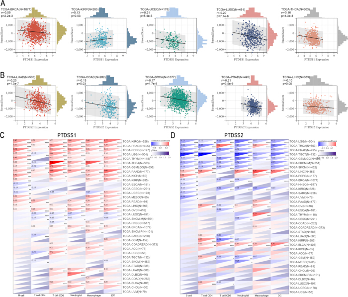 Gene expression analysis of PTDSS1 and PTDSS2; scatter plots and heatmaps, cancer datasets, TCGA.