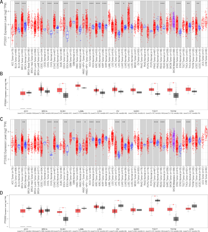 Gene expression analysis, PDSS1/2 levels, cancer types, box plot chart, log2 TPM, comparative study.