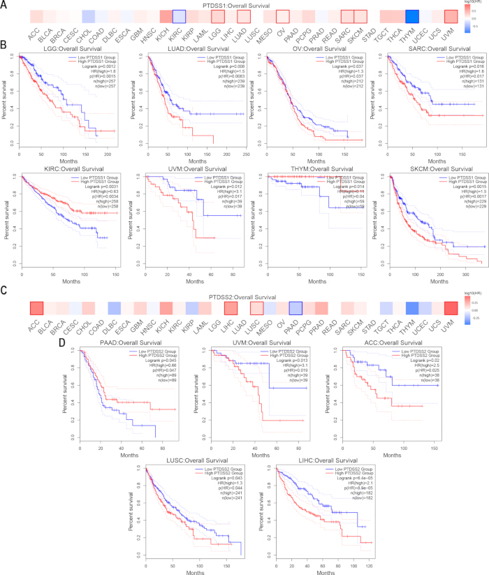 Kaplan-Meier survival analysis, cancer prognosis; charts: gene impact on survival probability.
