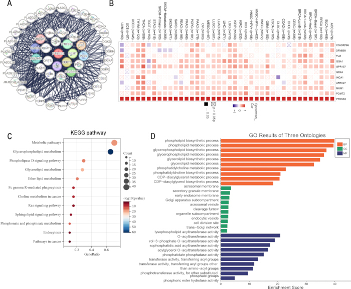 Gene network, heatmap, KEGG pathway, GO analysis; diagram, chart; biological data analysis.