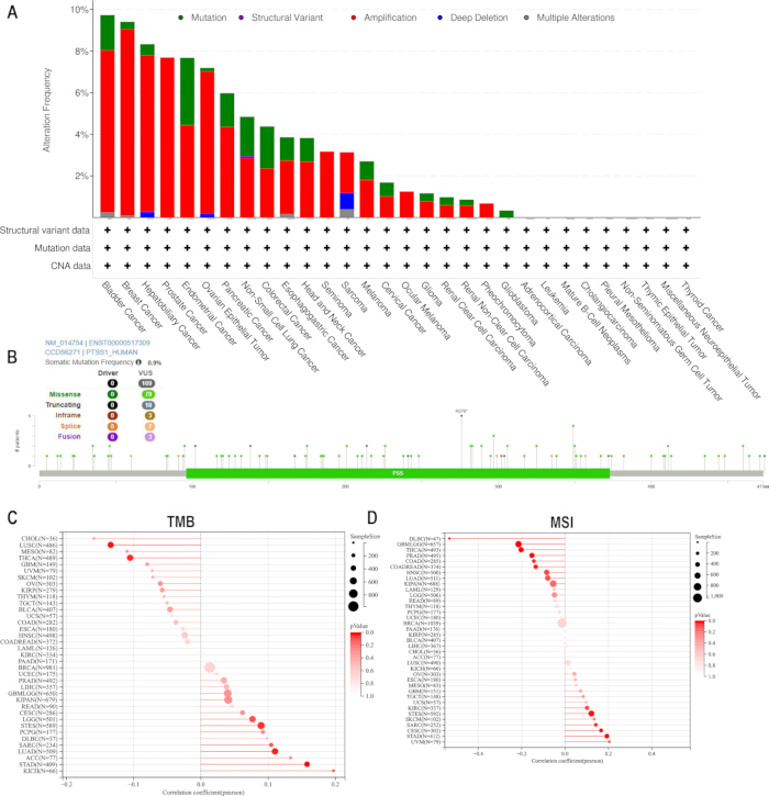 Cancer mutation frequency chart; gene mutation analysis; bar graph; data visualization; MSI; TMB.
