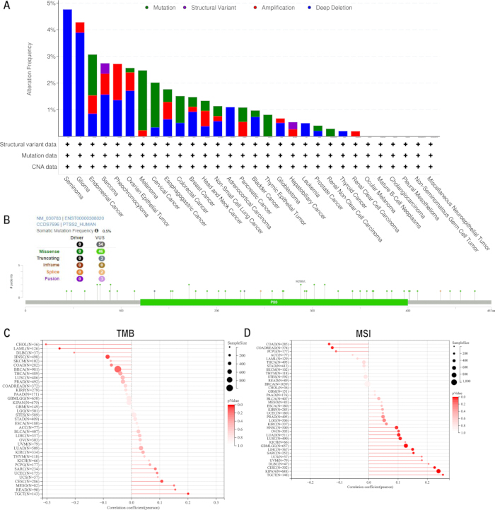 Cancer mutation frequency by type; bar chart shows mutations, structural variants, amplification, deletion; data analysis; tumor types comparison.