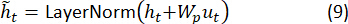 LayerNorm in neural networks equation, formula for output normalization in deep learning.