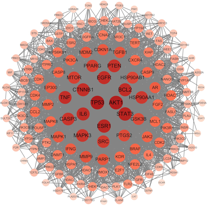 figure-results-3 Protein interaction network diagram highlighting key TP53 interactions.