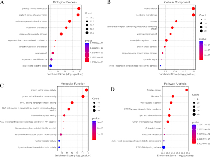 figure-results-5 Biological data bubble plots on enrichment scores and p-values in four categories: processes, components.