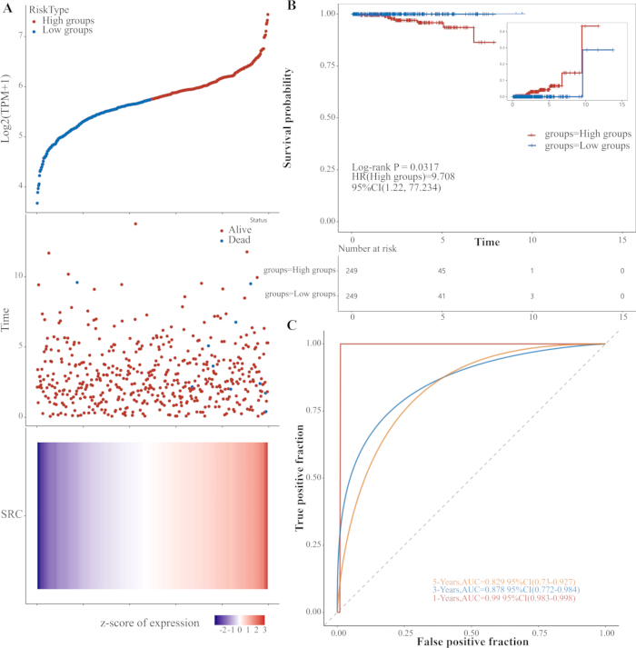 figure-results-6 Gene expression analysis; Kaplan-Meier survival, ROC curves; visual data on high/low risk groups.