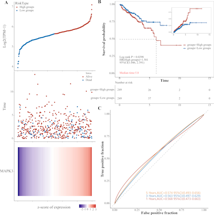 figure-results-7 Survival analysis with Kaplan-Meier curves and ROC plot; expression and z-score correlation chart.