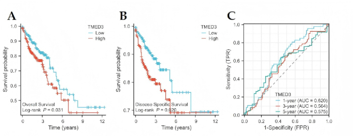 figure-results-10 Kaplan-Meier survival analysis and ROC curves for TMED3 impact on patient survival probability, specificity.
