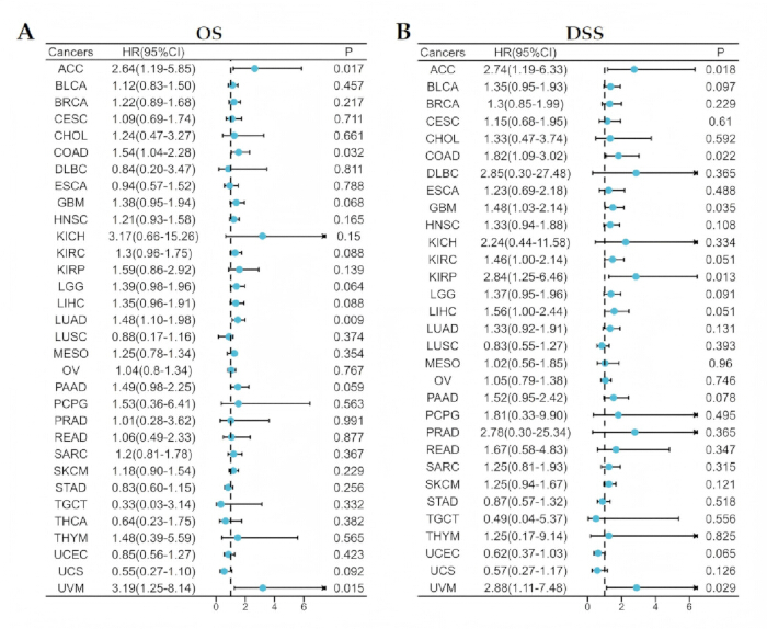 figure-results-3 Forest plot diagram comparing hazard ratios for different cancers in OS and DSS analysis.