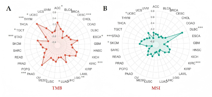 figure-results-6 TMB and MSI radar charts showing cancer type data comparison for genomic research analysis.