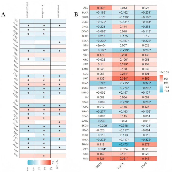 figure-results-7 Cancer subtype analysis; heatmap; correlation matrix; ESTIMATE scores; immune scores; statistical significance; bioinformatics analysis.