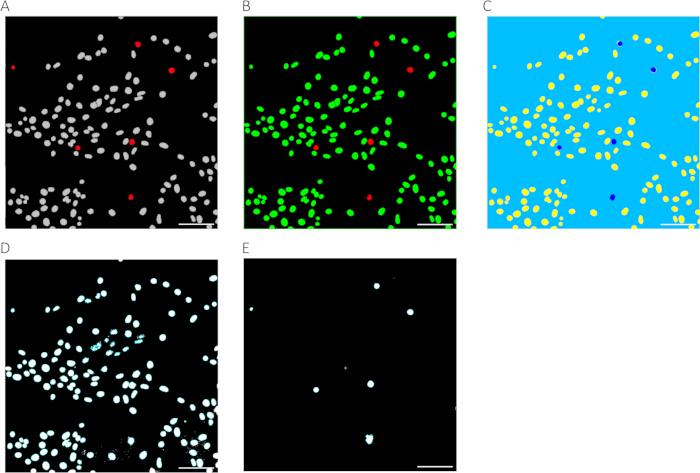 figure-results-3 figure-results-3