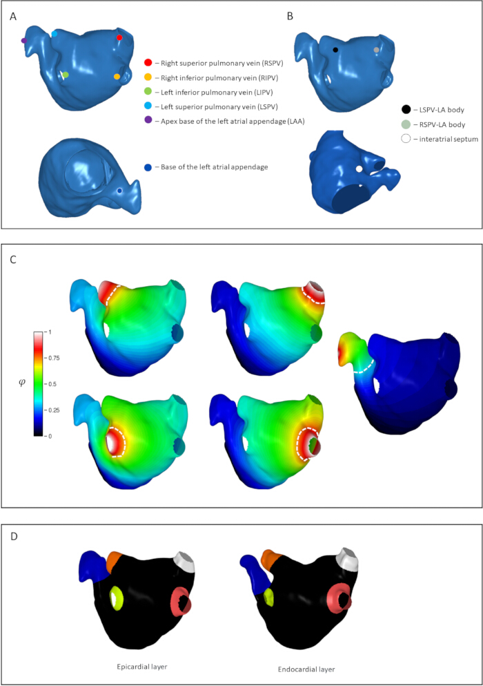 figure-protocol-3