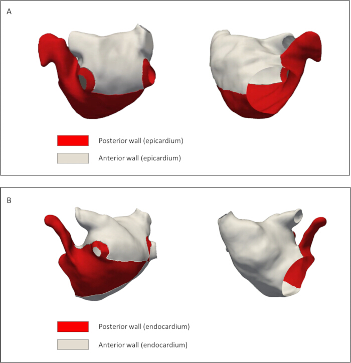 figure-protocol-5