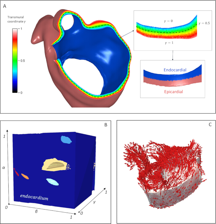 figure-protocol-10