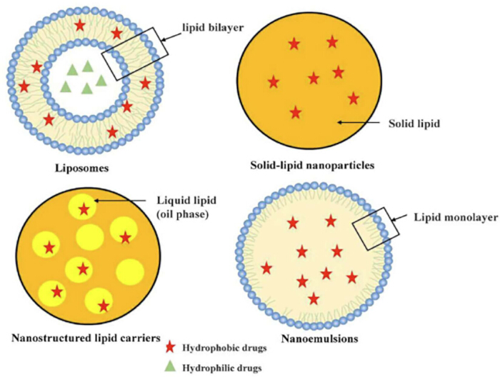 Lipid-based drug delivery systems diagram: liposome, solid-lipid nanoparticles, nanoemulsions.