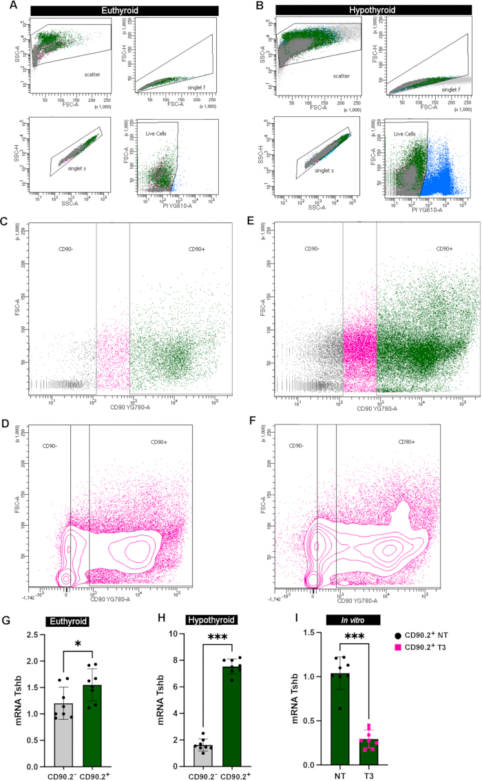 Flow cytometry analysis; compares CD90.2+ cells, euthyroid vs. hypothyroid. Data presented in graphs.