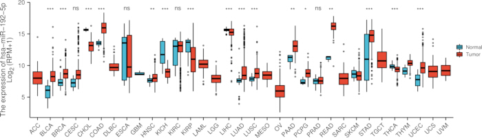 figure-results-1