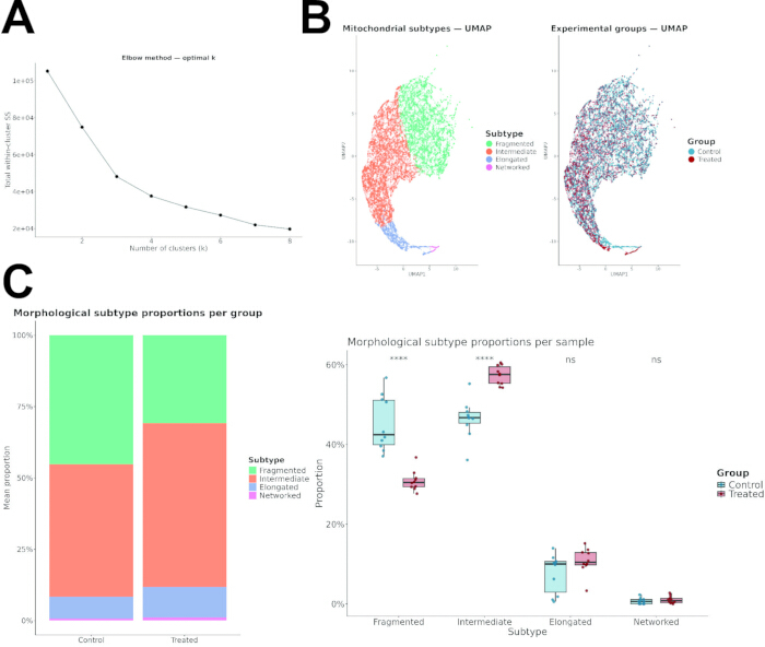 figure-results-4 Elbow method graph, UMAP plots, subtype proportion charts showing mitochondrial analysis results.