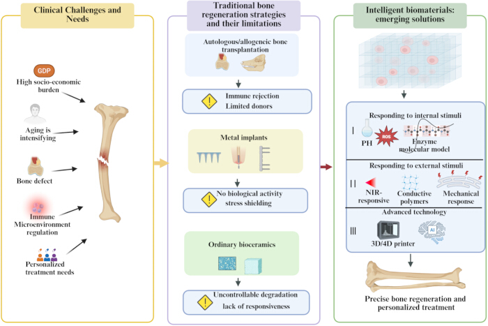 Bone regeneration process; diagram of clinical needs, traditional strategies, biomaterial solutions.