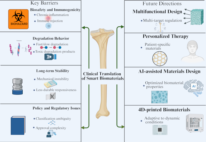 Clinical translation of smart biomaterials diagram; barriers, future directions; personalized therapy.