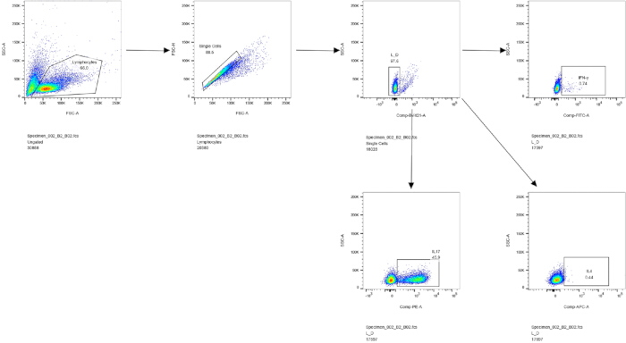 figure-results-2