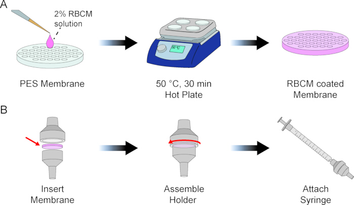 figure-results-1 RBCM membrane coating process, diagram: PES membrane, hot plate, assembly, syringe attachment.