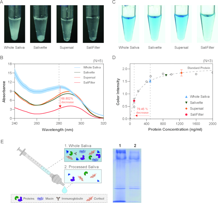 figure-results-2 Saliva centrifugation analysis: absorption spectra, protein concentration graph, gel electrophoresis.