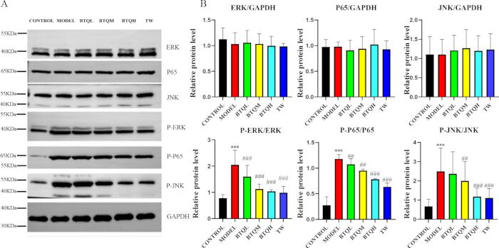 figure-results-6