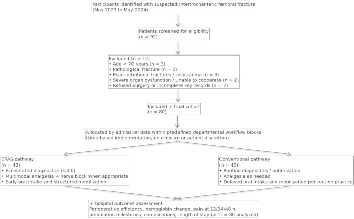 Flowchart of intertrochanteric femoral fracture study; participant screening and outcome assessment process.
