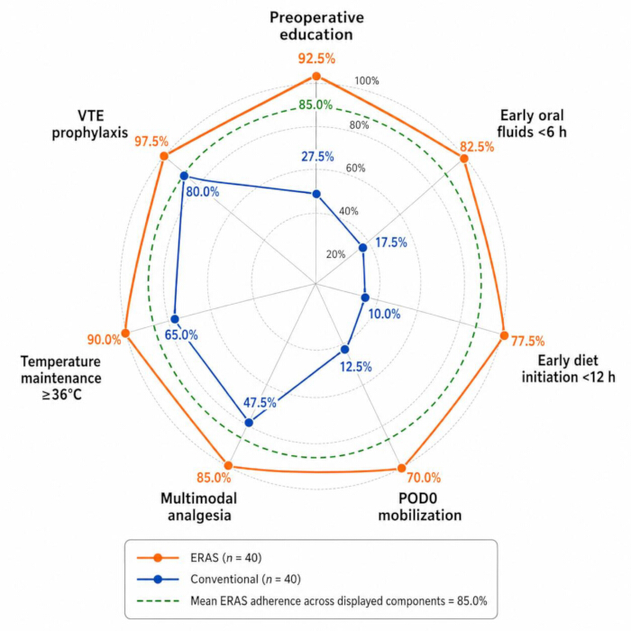 ERAS adherence radar chart comparing conventional and ERAS methods in preoperative processes.