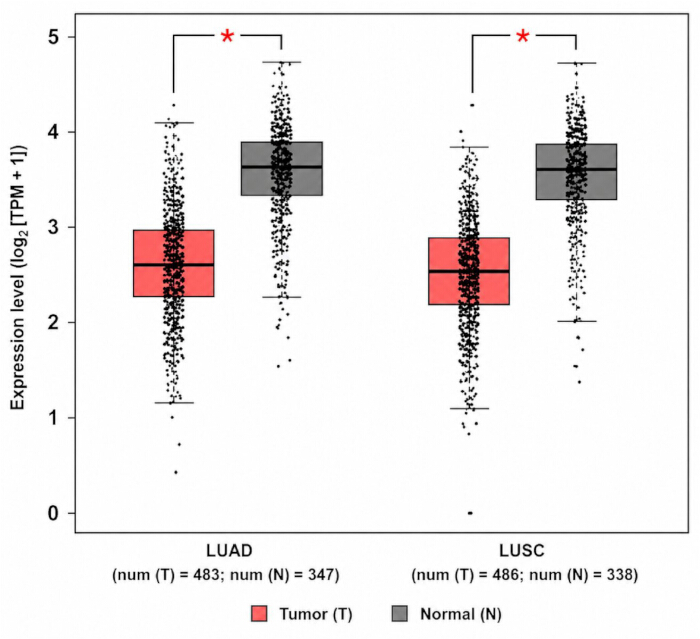 figure-results-4 figure-results-4