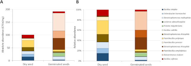 Seed microbiome bar charts; bacterial abundance in dry vs germinated seeds; comparative analysis.